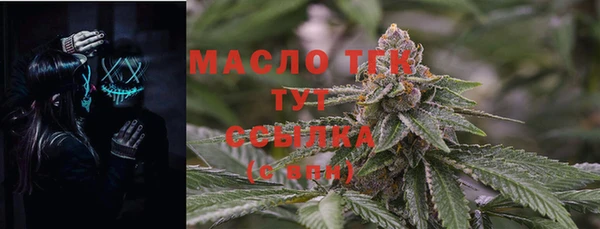 mdpv Вяземский