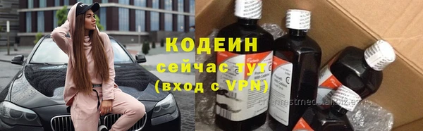 спиды Гусев