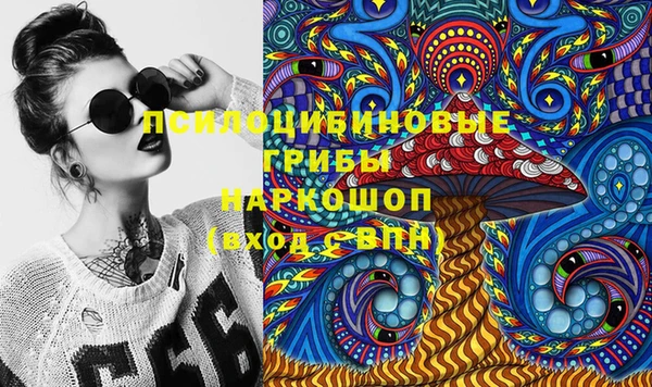 прущие грибы Горняк