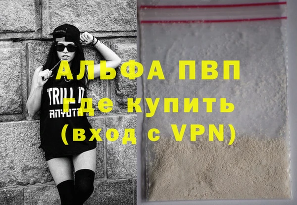 прущие грибы Горняк