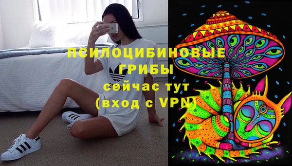 бошки Горнозаводск