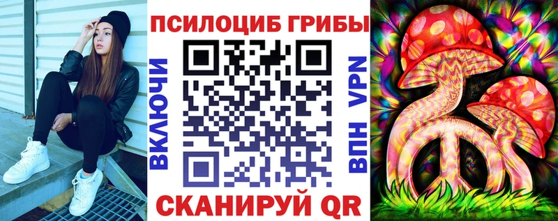 Псилоцибиновые грибы мицелий  гидра ССЫЛКА  Далматово 